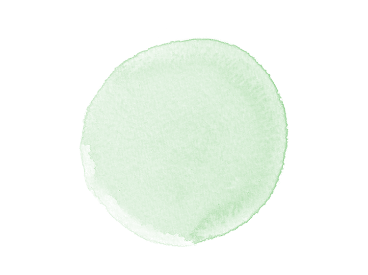 30_Decoration-green-07.png