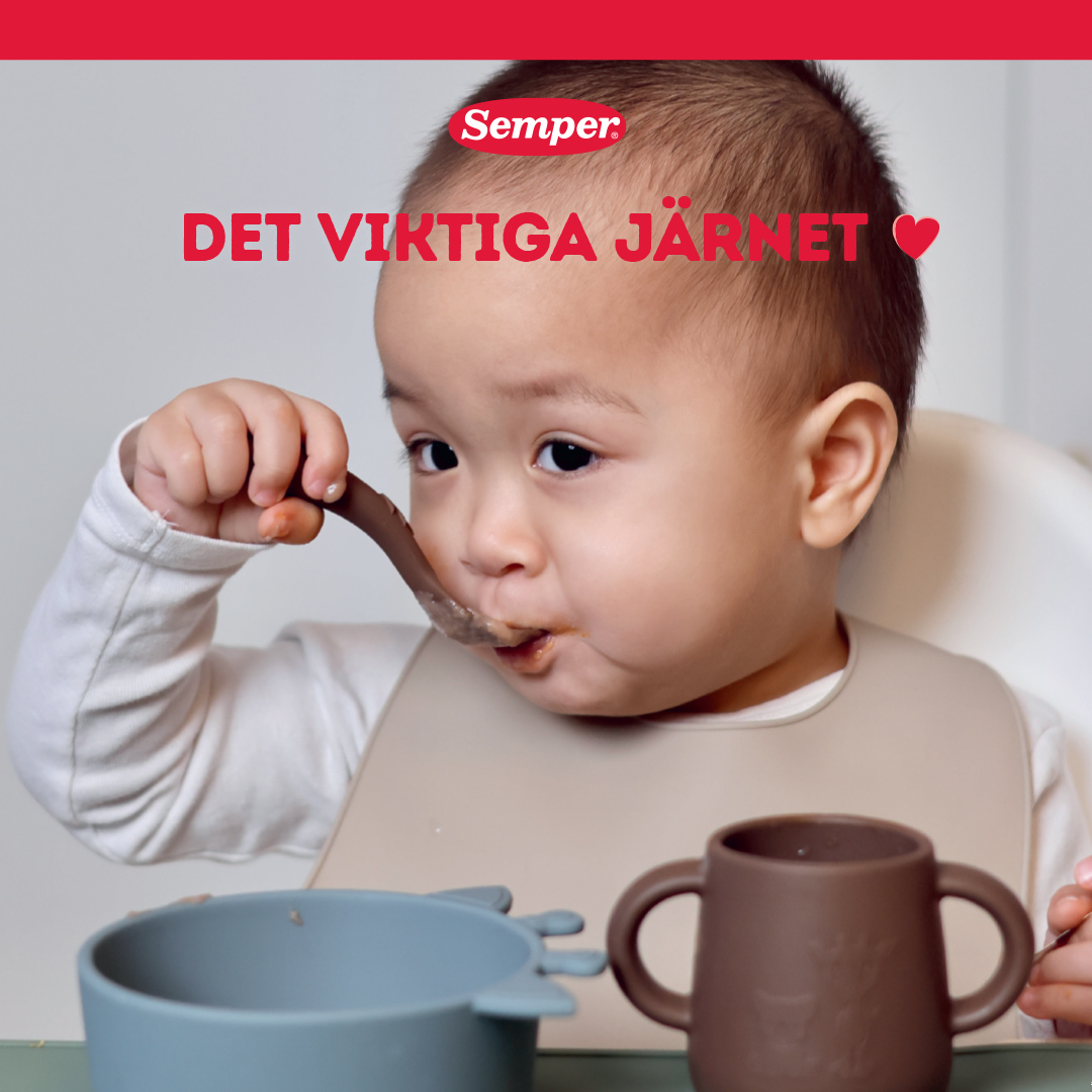 Folder about iron from Semper